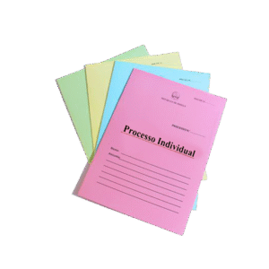 CAPA DE PROCESSO INDIVIDUAL